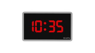 Sapling Time Zone Clock