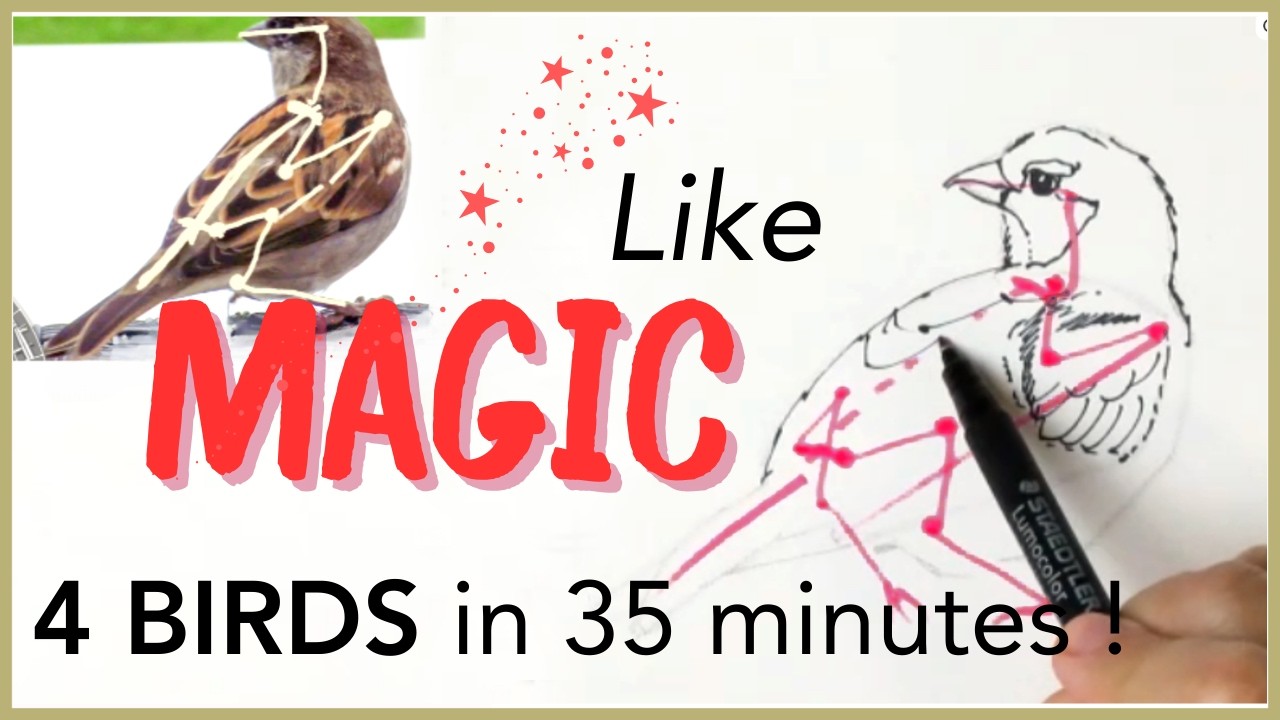 Discover the SECRET to Drawing Birds with Simple Stick Figures