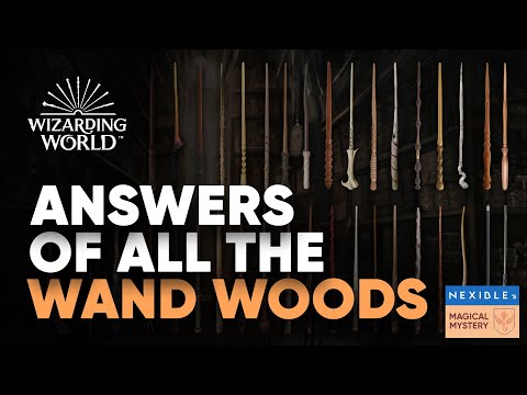 Answers of All Wand Woods Hogwarts Legacy || Wizarding World