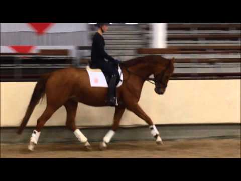 5j  Wallach v  Vitalis x Weltmeyer