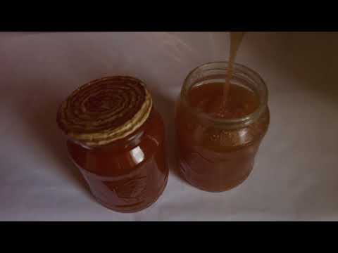 Rozbzuč prototyp osvětového včelína!