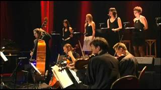 Wim Mertens Ensemble - Struggle for Pleasure
