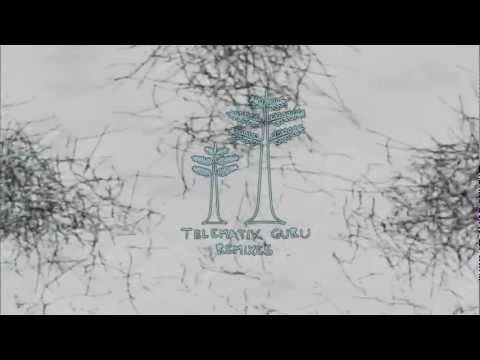 Telematik Guru - Remixes -  teaser Elastica rec