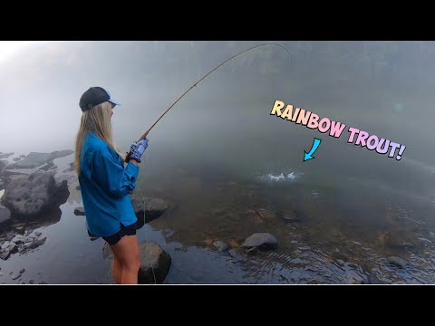 FLY-FISHING for RAINBOW TROUT with TINY FLIES!!! (Catch, Clean & COOK!) Video