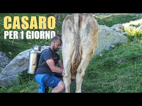 In Val d'Inferno making mountain BUTTER 🧈🐮