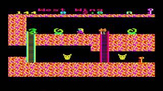 Citadel (Female character gameplay) for the BBC Micro