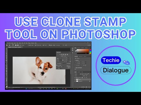How to Use the Clone Stamp Tool on Photoshop