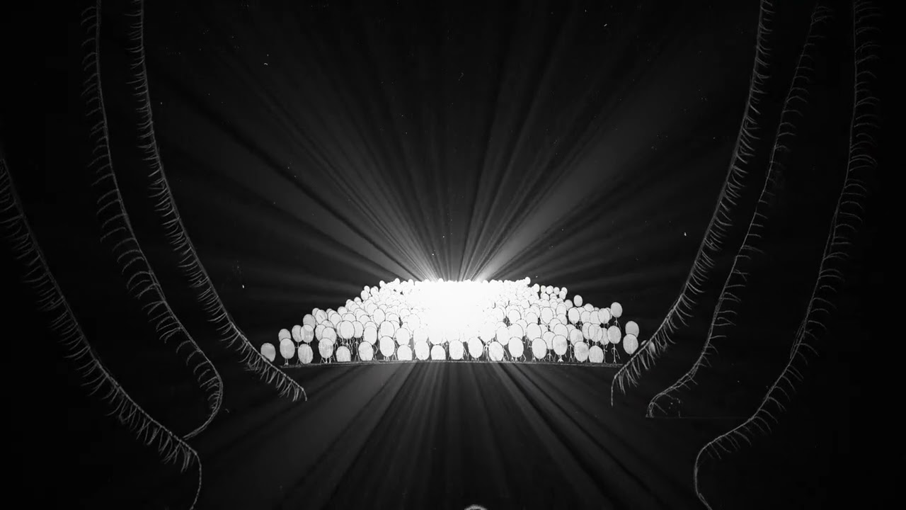 Cocoon | Short Animation