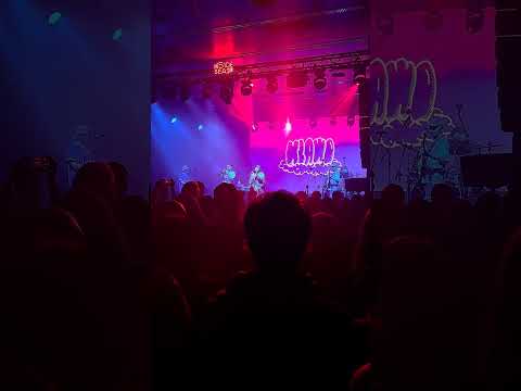 KLAWO - live at Inside Seaside #concert #klawo #insideseaside #livemusic