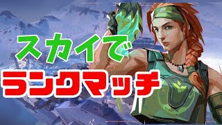 【Valorant】新エージェント「スカイ」でランクマッチに挑む