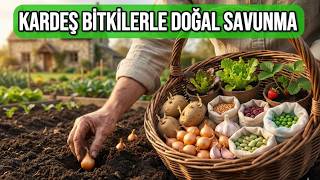 Toprağı Uyandırıyoruz:  İlaçsız Doğal Ekim Rehberi #toprak #doğalyaşam #bahçe
