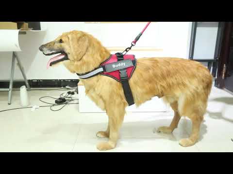 Dog Harness NO PULL Reflective Adjustable Dog Harness Vest for Small Large Dogs