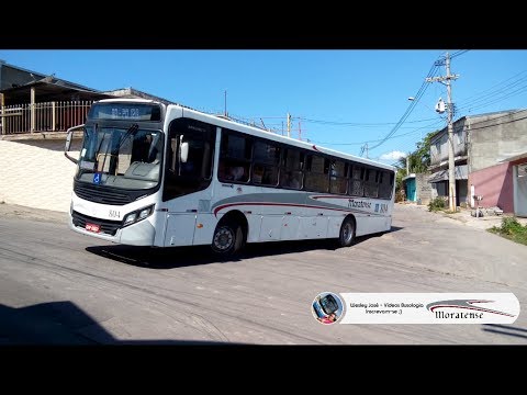 Apache VIP IV sc - MB OF-1724 BT5 - 804 Moratense