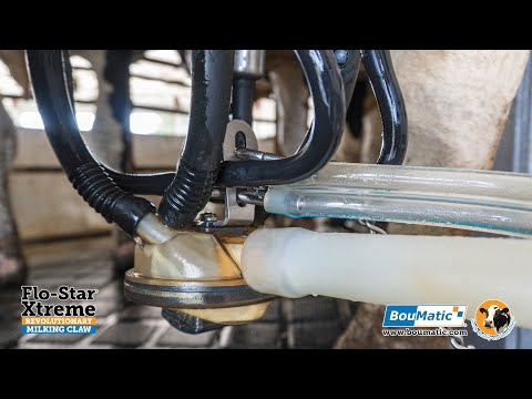 Flo-Star Xtreme, Milking Claw (English)