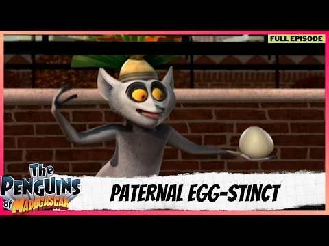 The Penguins of Madagascar | Full Episode | Paternal Egg-Stinct