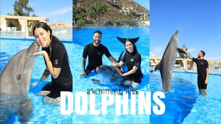 WE SWAM WITH DOLPHINS! | The Coolest Experience!