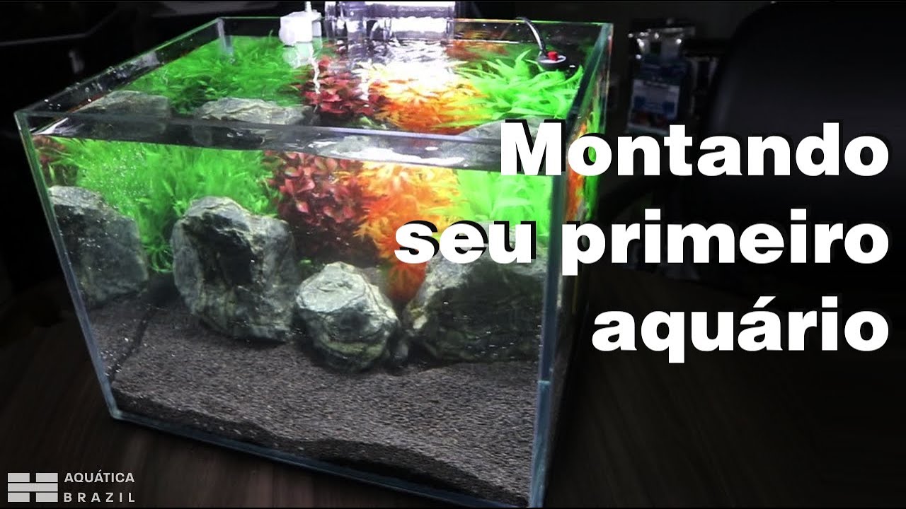 Montando seu primeiro aquário (Iniciante) [PARTE 1] - Montagem, condicionamento da água e introdução