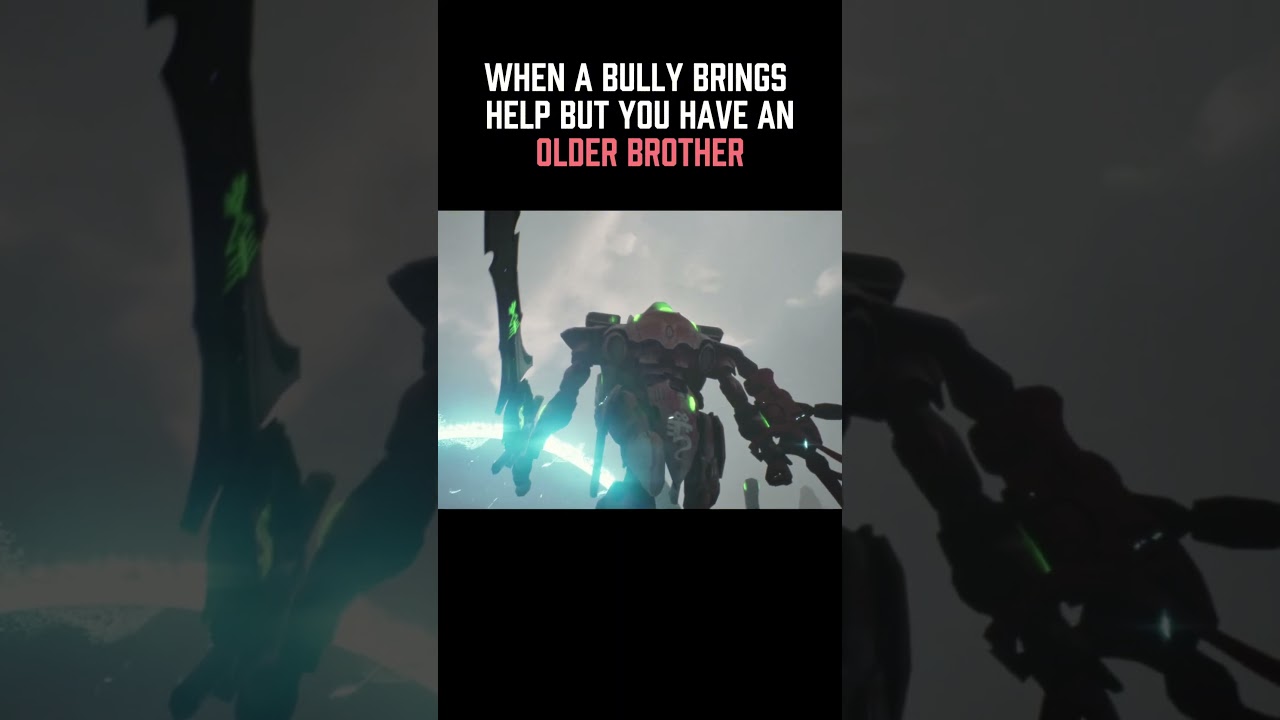 Older Brother Has Your Back