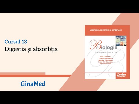Biologie CORINT: C13. Digestia și absorbția - LIVE ADMITERE MEDICINĂ