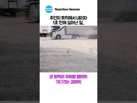 주인이 트럭에서 내리자 1초 만에 일어난 일..
