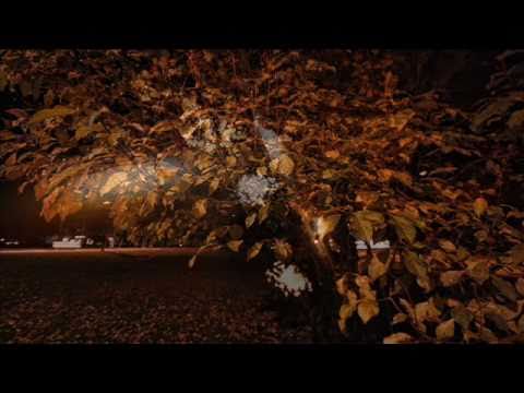 Teemu T - Serenity Mix 240211