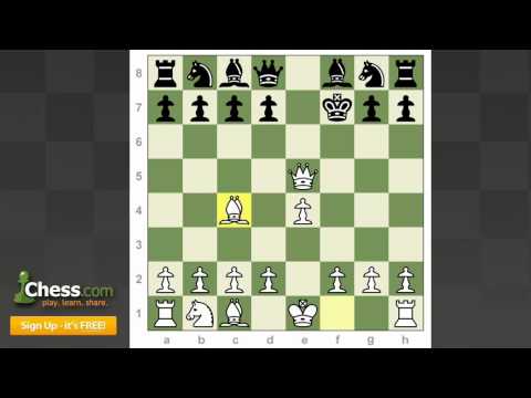 Chess.com Games: Member Analysis Minis!