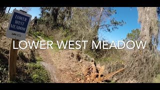 preview picture of video 'Balm Boyette Mountain Bike Trail - Lower West Meadow'