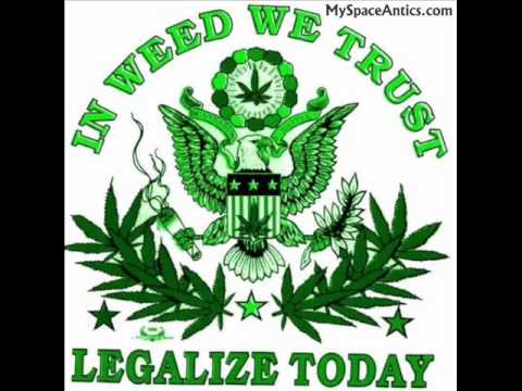 Furii Canes - Soli motaj pali