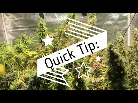 Quick Tip: Don't forget to lower your humidity.