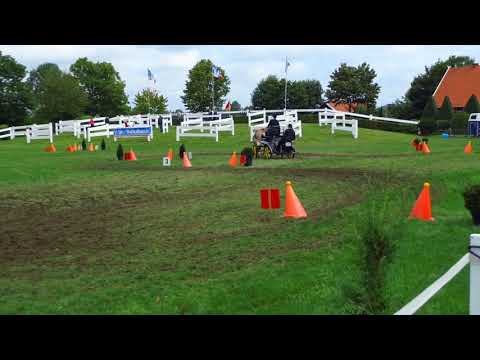 Fahrturnier Ostenfelde 19.8.2017