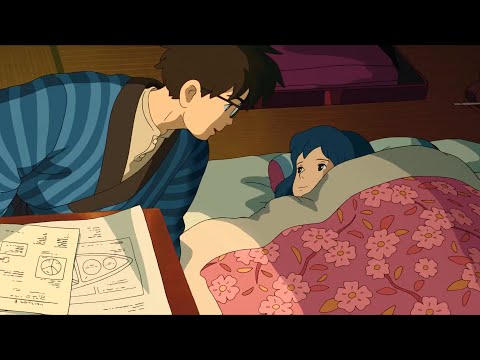 Failed to become a pilot, this boy became the most important figure in Japan's aviation