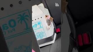 Miniature vidéo
