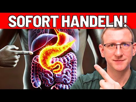 Bauchspeicheldrüse: Diagnose & Therapie - HANDLE SOFORT!