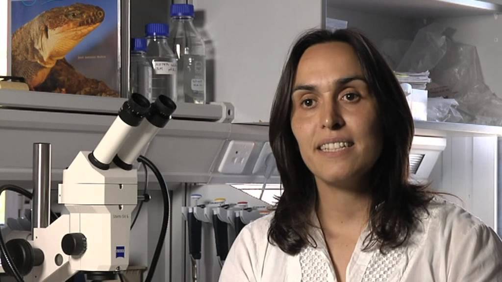 Rethinking Darwin's Theory of Evolution