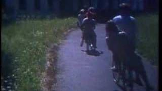 Pia Fraus - Japanese Heart Software