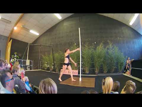 Démonstration Pole Dance Salon de la femme Tallard nov 17