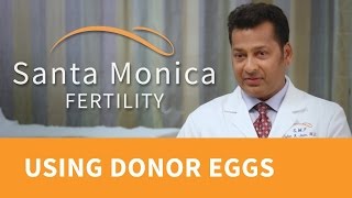 Egg Donation: About the Process, Finding Donor Eggs, and IVF