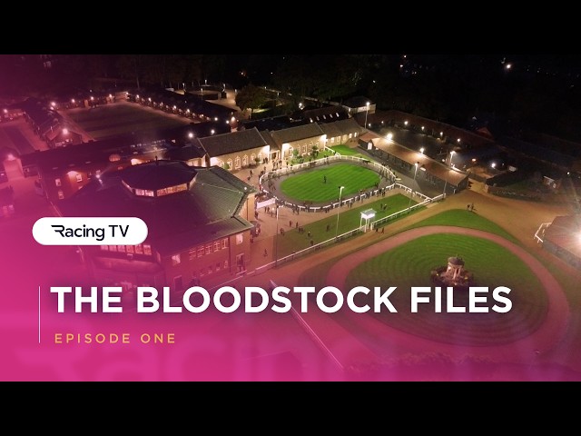 Thumbnail for Post ID: _35V46baPns