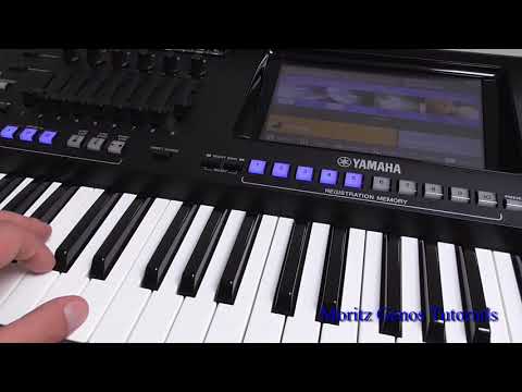 Moritz Genos Tutorial: Fingering Type, Akkordgrifftyp deutsch