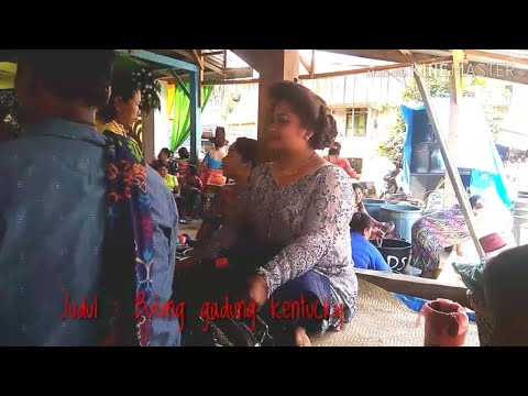 Jenny Br. Sembiring, Lagu : Bulung Gadung Kentucky