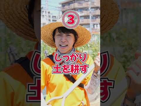 バジル 防虫植物 2023