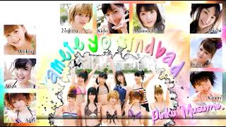 《歌ってみた》 【Pinku Musume.】 「やめてよ! シンドバッド」