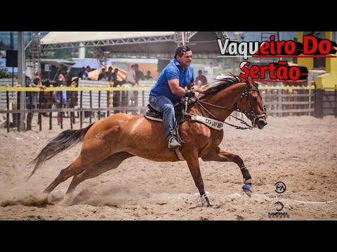Show Do Vaqueiro - Pisadinha Do Vaqueiro - [Vaqueiro Do Sertão]