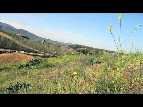 Brody Wilson: Welcome To Unit: FMX