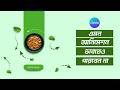 Motion Graphics In Canva বানিয়ে ফেলুন চোখ ধাঁধানো অ�
