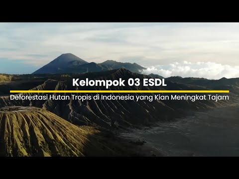 Deforestasi Hutan Tropis di Indonesia Kian Meningkat Tajam - Kerusakan Lingkungan di Indonesia