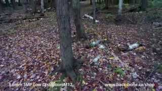 Ribcage: 3.6mm 3MP M12 Lens Footage