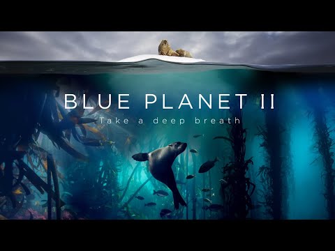 The Preview For 'Blue Planet II' Is So Epic That It Takes Your Breath Away