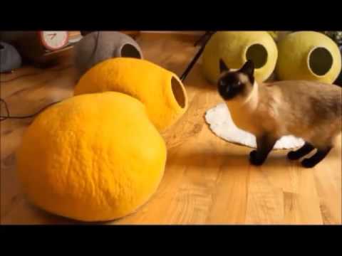 Casa para Gatos de Lana Kivikis II