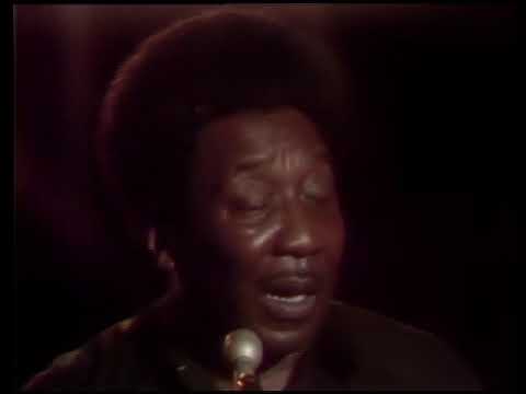 Thumbnail for Muddy Waters - Got My Mojo Working - 7/29/1971 - Ash Grove by Muddy Waters